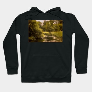 Swans On The Itchen a Digital Painting Hoodie